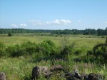 Участок земли для коммерческого использования в п. Веснино Громовской волости Приозерского района