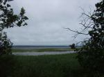 Панорама озера Отрадненское