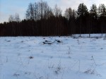 Поляна в центре в окружении леса  (зимний вид)