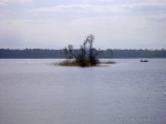 Остров на озере Вуокса