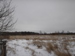 Верхнее поле.Вид от деревни Горное-Ёлохово.