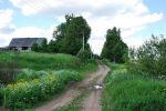 Деревня Ольховец